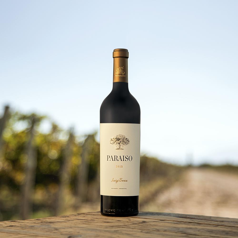 WATERMARK World Wine Tour – Andean Evening: A Journey Through Argentina’s Wine Regions