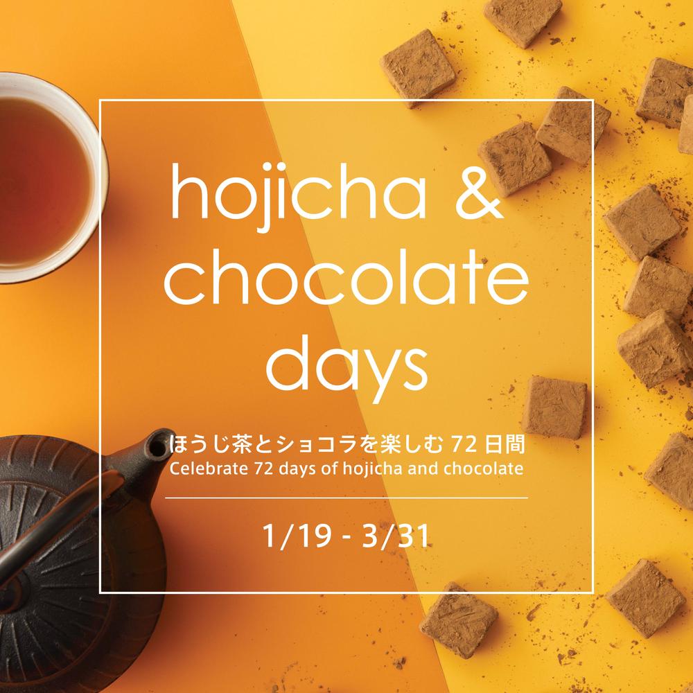 Hojicha Nama Chocolate - Limited Time Offer
